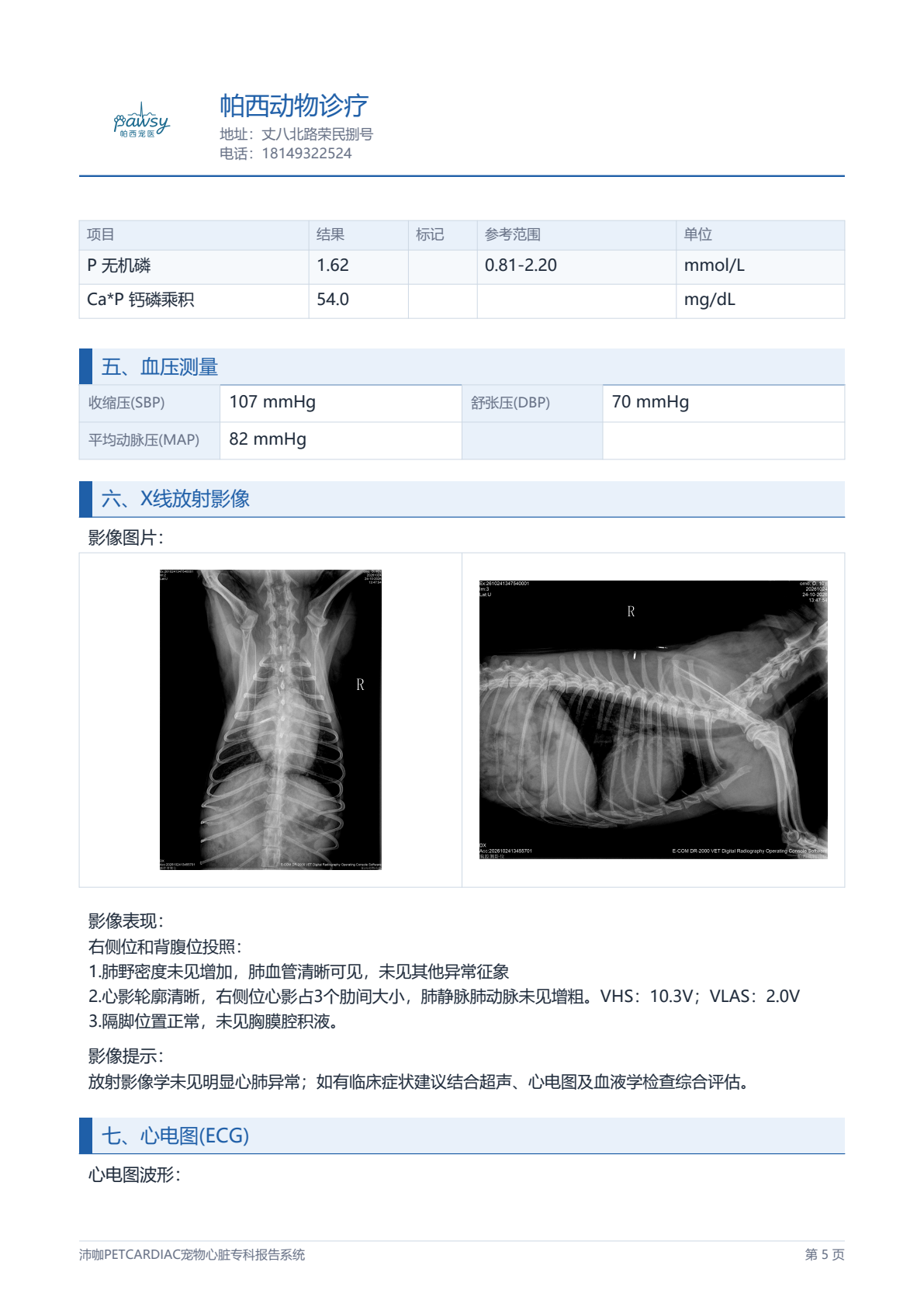 报告第 5 页:X 线、心电与血压